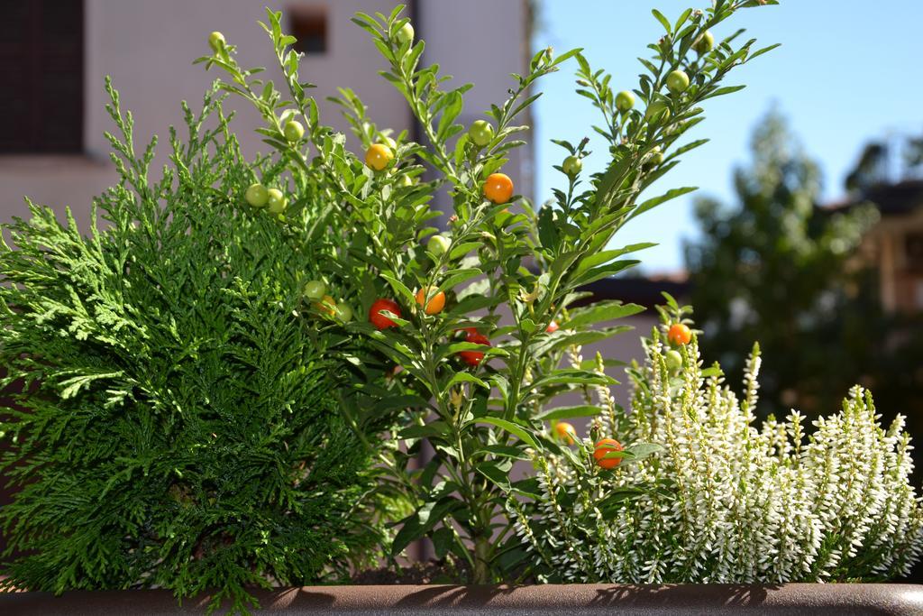Bed and Breakfast In Centro Charme Bergamo Exterior foto