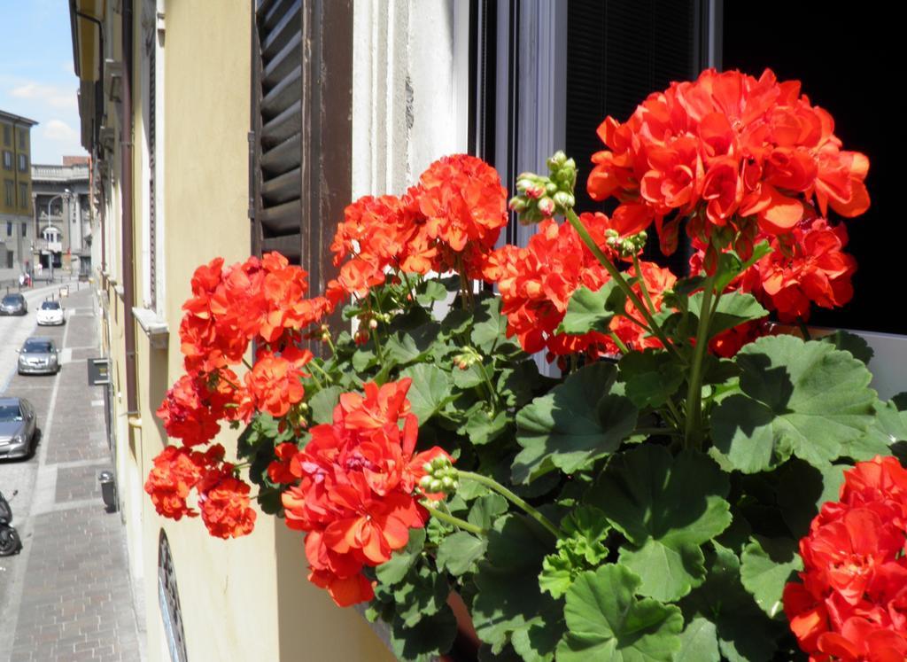 Bed and Breakfast In Centro Charme Bergamo Exterior foto